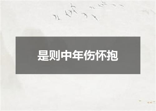 是则中年伤怀抱