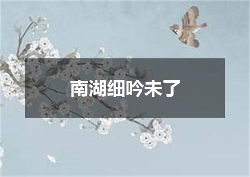 南湖细吟未了