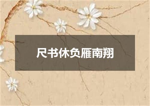 尺书休负雁南翔
