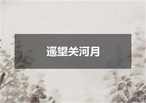 遥望关河月