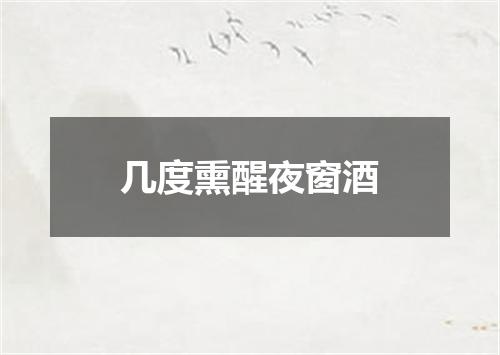 几度熏醒夜窗酒