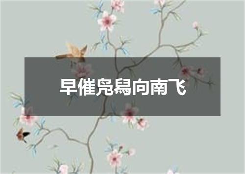 早催凫舄向南飞