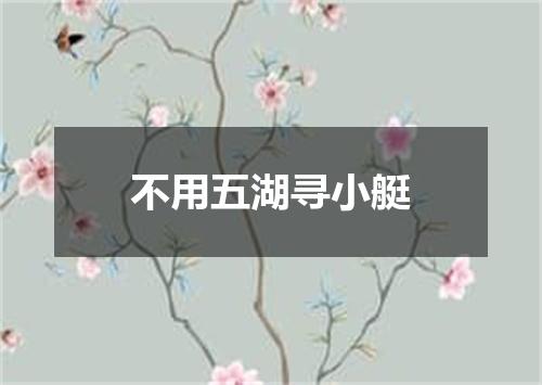 不用五湖寻小艇