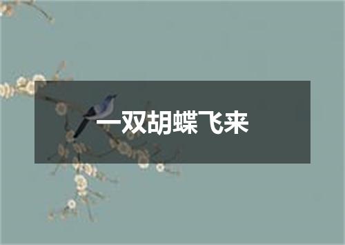 一双胡蝶飞来