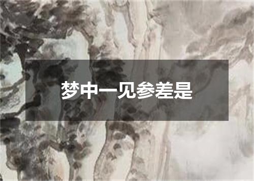 梦中一见参差是
