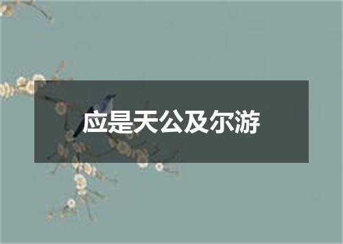 应是天公及尔游