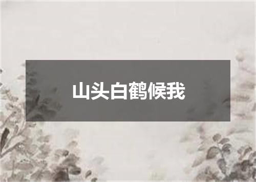 山头白鹤候我