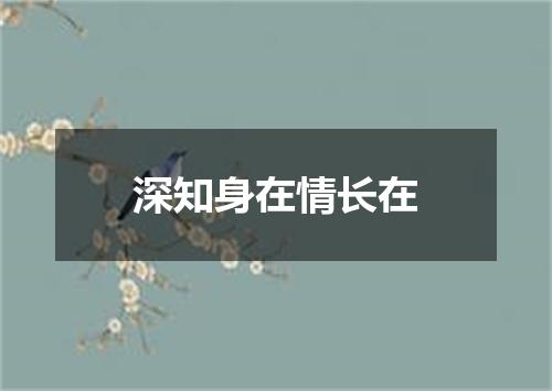 深知身在情长在