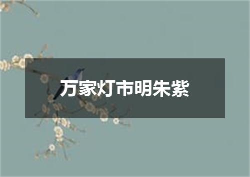 万家灯市明朱紫