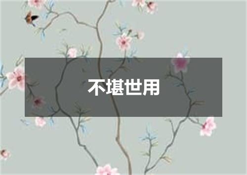 不堪世用