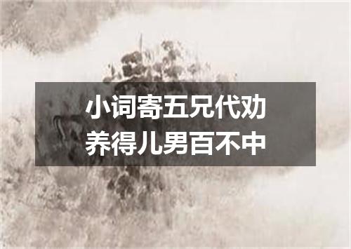 小词寄五兄代劝养得儿男百不中