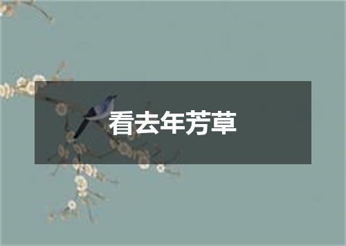 看去年芳草