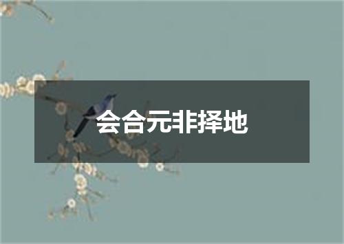会合元非择地