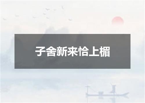 子舍新来恰上楣