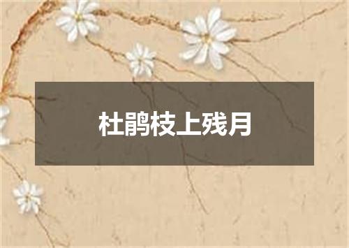 杜鹃枝上残月