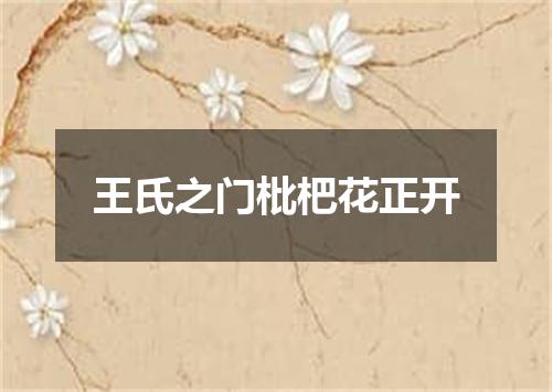 王氏之门枇杷花正开