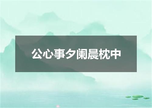 公心事夕阑晨枕中