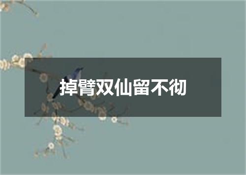 掉臂双仙留不彻