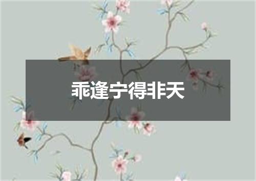 乖逢宁得非天