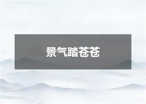 景气踏苍苍
