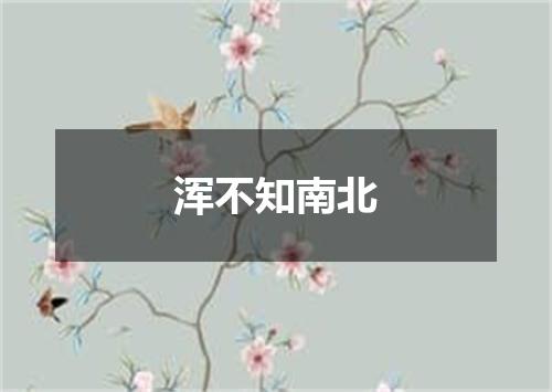 浑不知南北