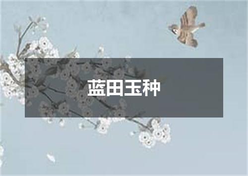 蓝田玉种