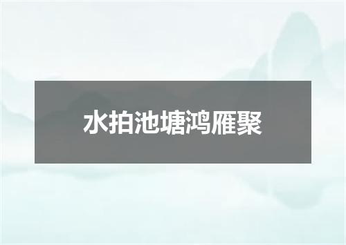 水拍池塘鸿雁聚