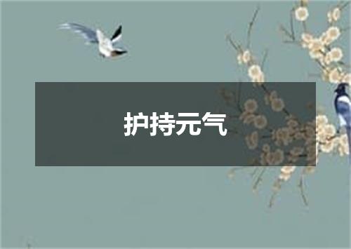 护持元气