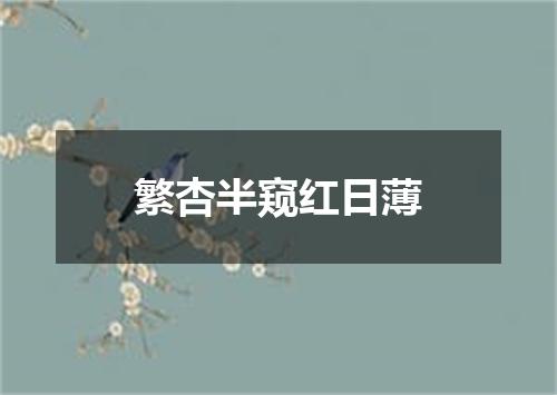 繁杏半窥红日薄