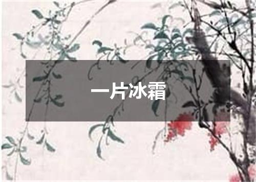 一片冰霜