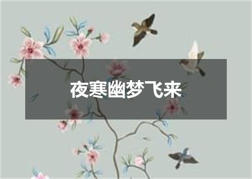 夜寒幽梦飞来