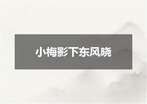 小梅影下东风晓
