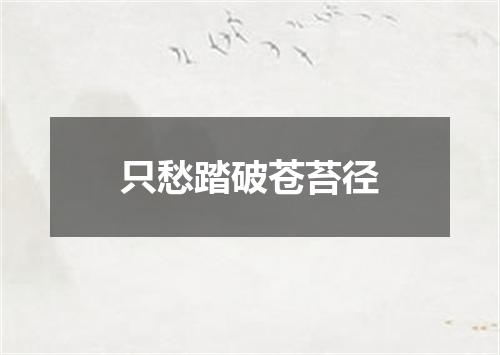 只愁踏破苍苔径