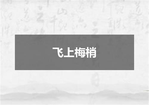 飞上梅梢