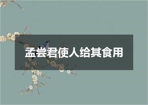 孟尝君使人给其食用
