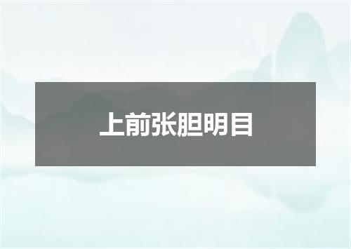 上前张胆明目