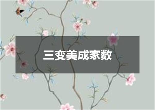 三变美成家数