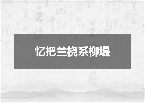 忆把兰桡系柳堤