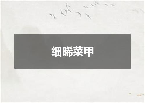 细晞菜甲