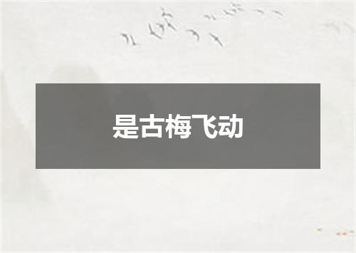 是古梅飞动