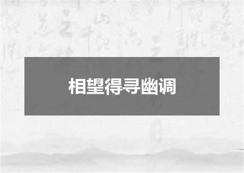 相望得寻幽调