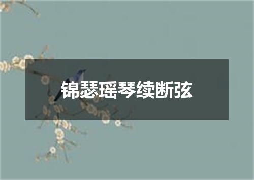 锦瑟瑶琴续断弦