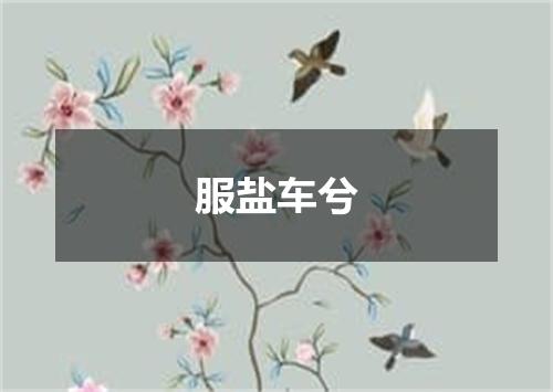 服盐车兮