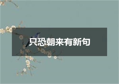 只恐朝来有新句