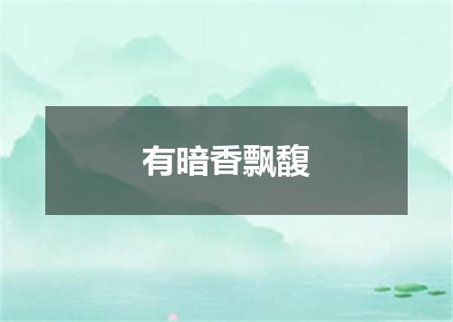 有暗香飘馥