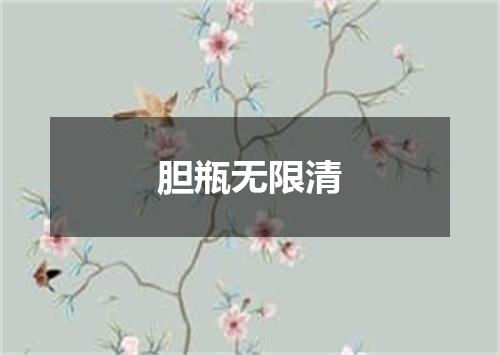 胆瓶无限清