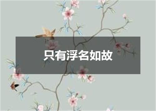 只有浮名如故