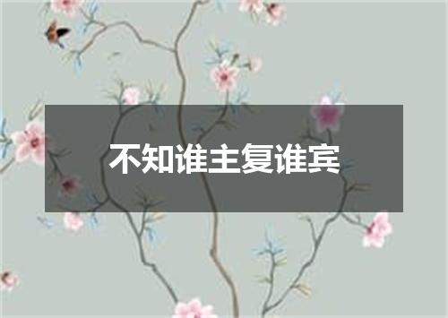 不知谁主复谁宾