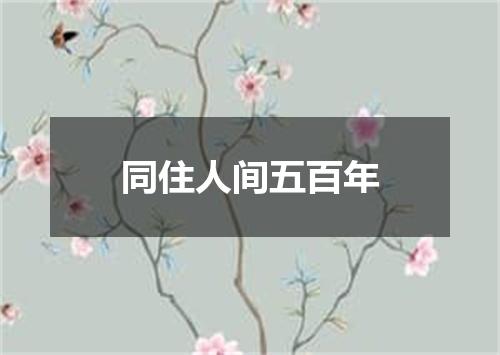 同住人间五百年