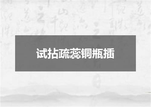 试拈疏蕊铜瓶插